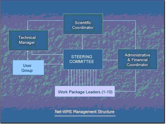 Management Structure